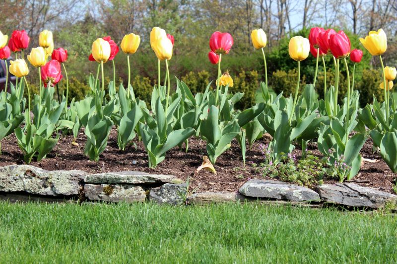 Stone Edging Installation in Fairfield County, CT